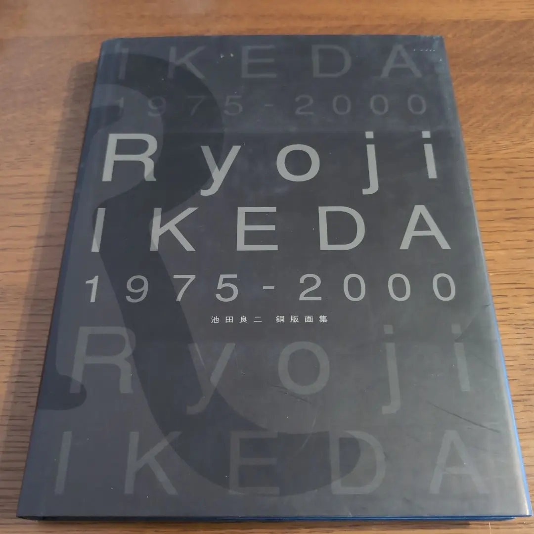 2025年最新】Ryoji IKEDA 1975‐2000―池田良二銅版画集の人気
