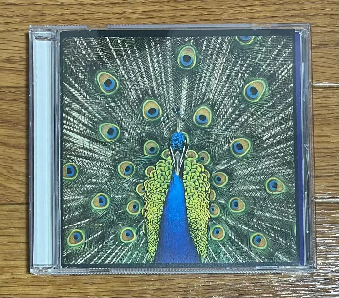 The bluetones『Expecting to Fly』アナログレコード The bluetones『Expecting to Fly』アナログレコード The