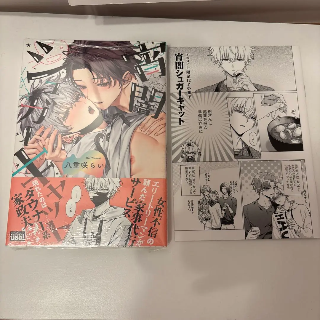 宵闇シュガーキャット ドラマCD グラッテ 小冊子 まとめ売り