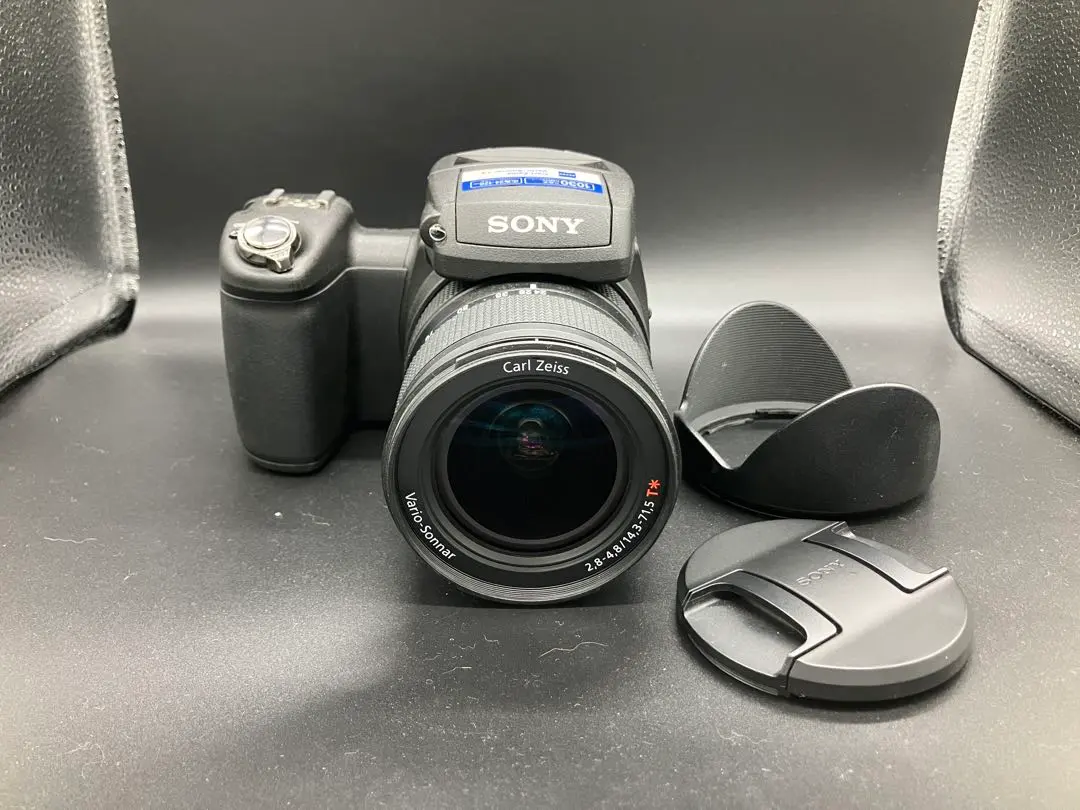 2025年最新】dsc-r1の人気アイテム - メルカリ