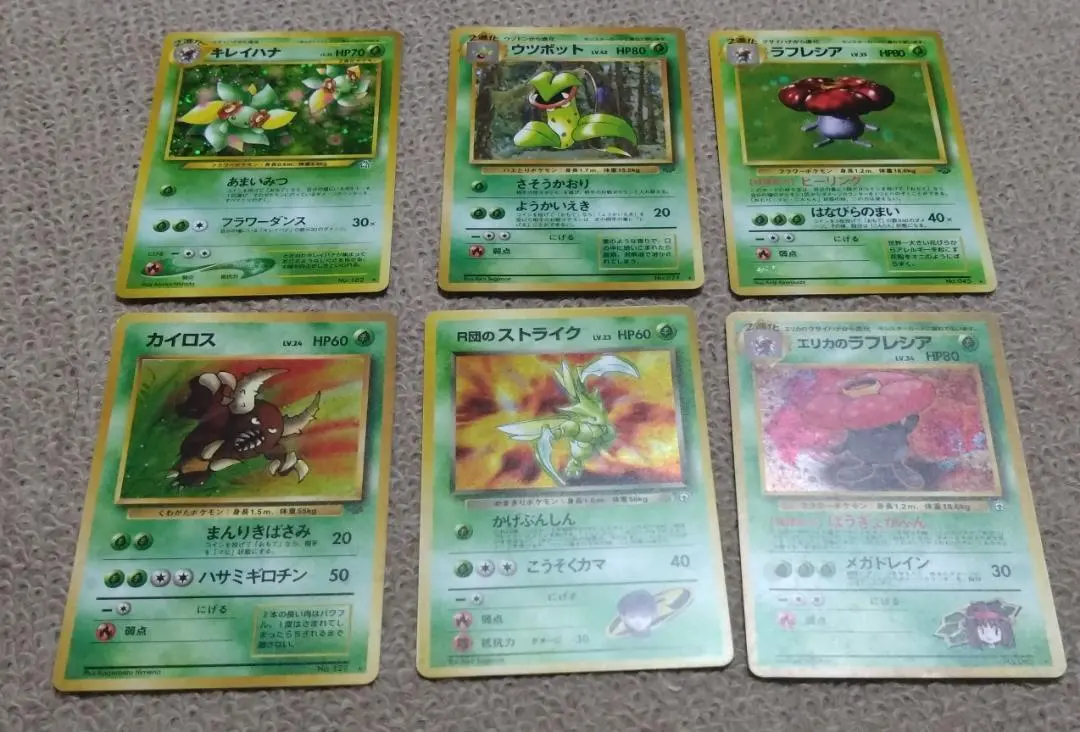 2025年最新】わるいフシギバナ webの人気アイテム - メルカリ