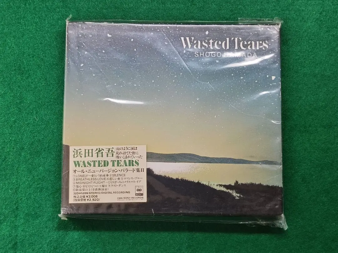 2025年最新】浜田省吾 全曲集の人気アイテム - メルカリ