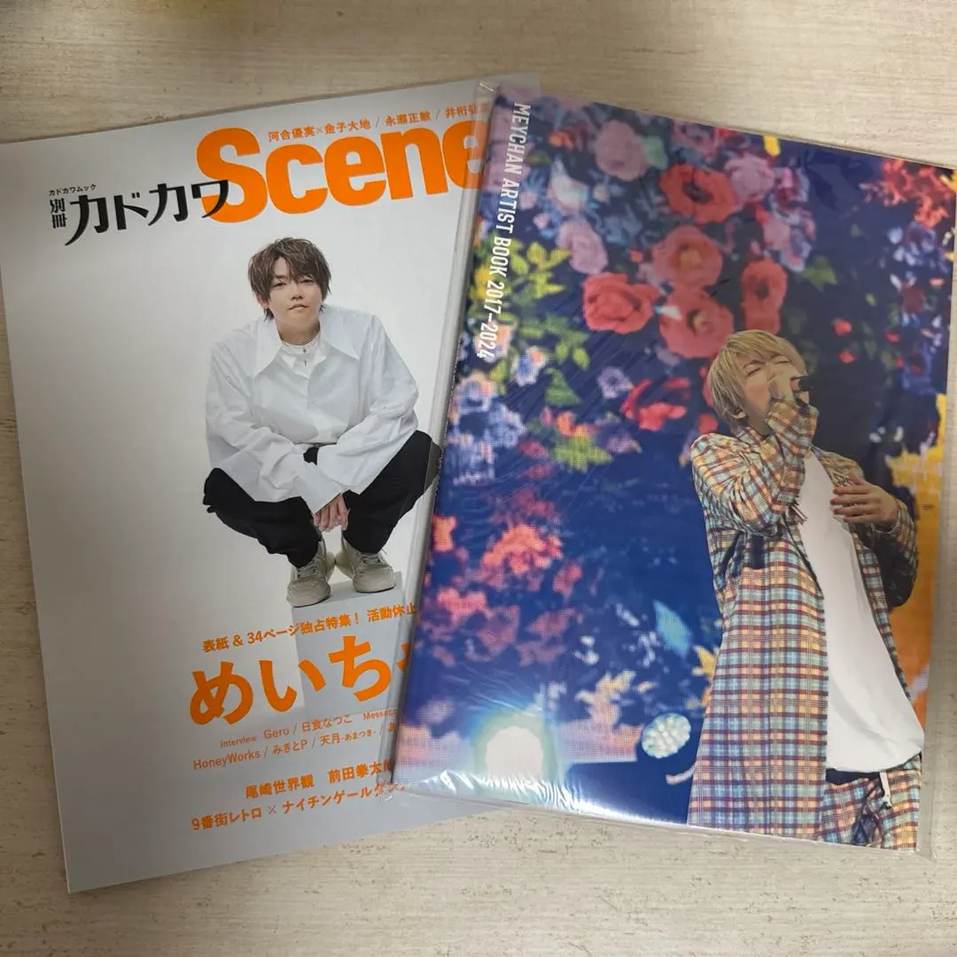 めいちゃん ARTIST BOOK 2017-2024 2025年最新】めいちゃん アーティストブックの人気アイテム