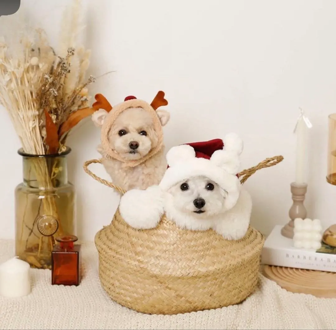 Thumbnail of moncheri Mon Cheri Santa Hat for Dogs and Cats Christmas Pet Supplies