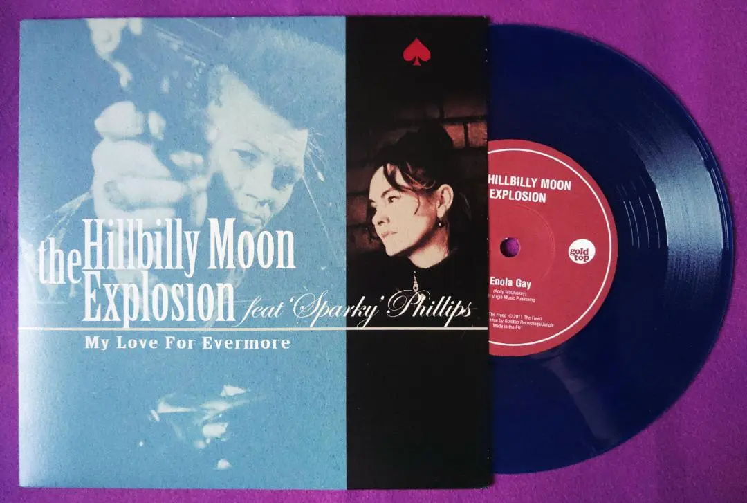 2025年最新】hillbilly moon explosionの人気アイテム - メルカリ