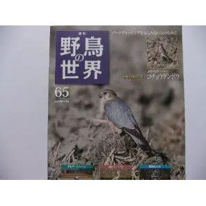 週刊　野鳥の世界　全121号セット【専用バインダー付き】 2025年最新】週刊 野鳥の世界の人気アイテム - メルカリ