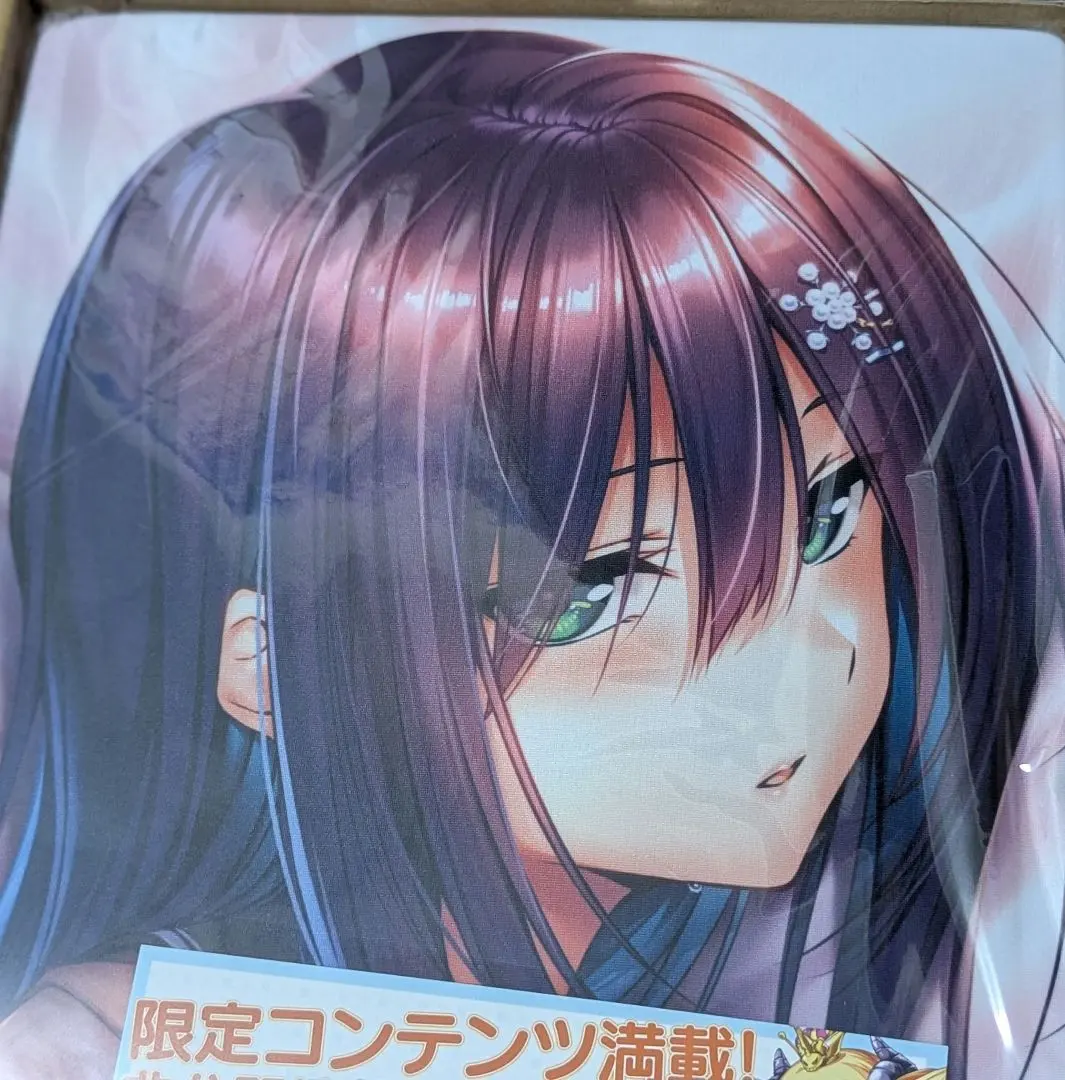 正規品　氷見山玲　抱き枕カバー(ライクトロンリッチ) アマカノ　ピロ水 正規品 氷見山玲 抱き枕カバー(ライクトロンリッチ) アマカノ