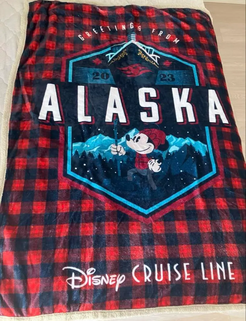 2025年最新】wdw ブランケットの人気アイテム - メルカリ