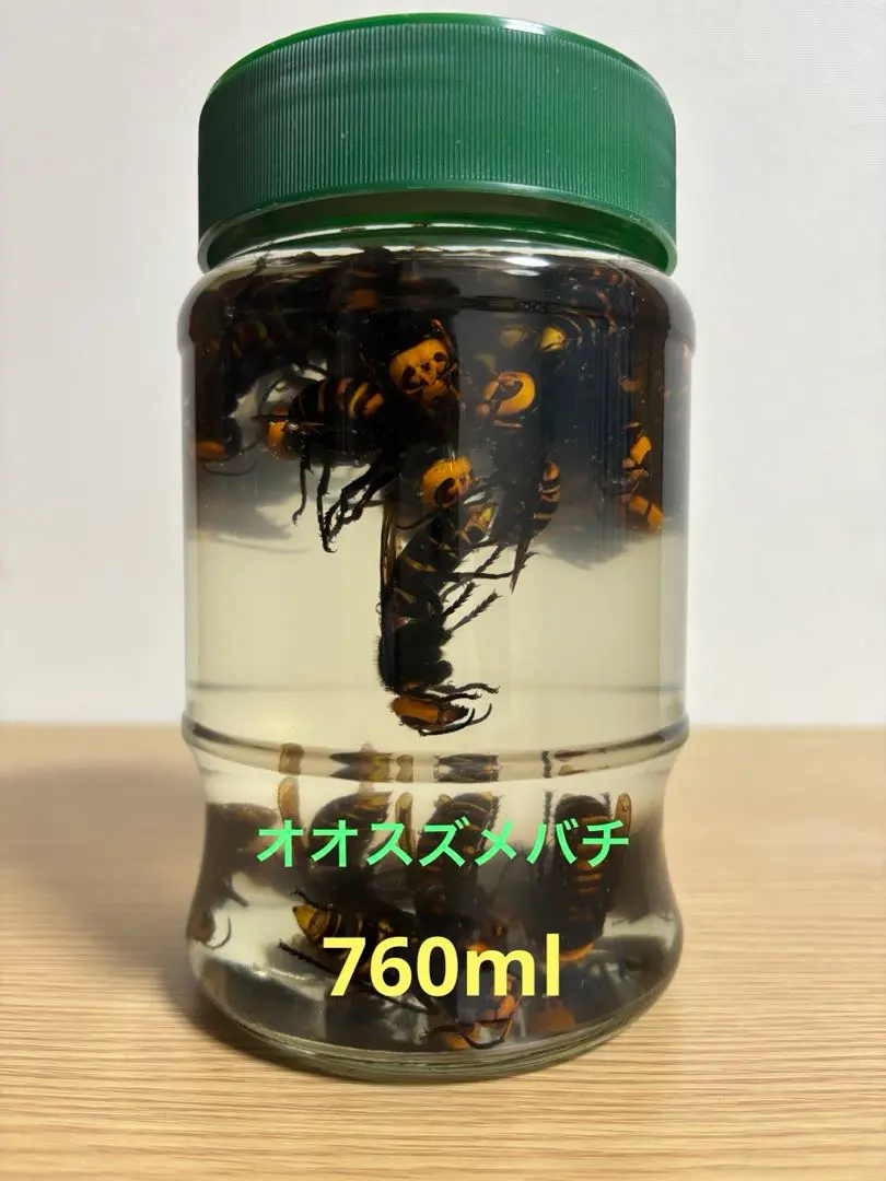2本セット 天然 オオスズメバチ 50匹 720ml スズメバチ 焼酎漬け 400匹】オオスズメバチ焼酎