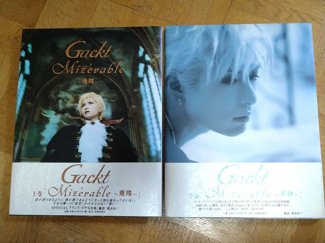「Ｇａｃｋｔ フランス・ロケ写真集 上下巻セット」 2025年最新】Gackt 下巻 Mizerable 運命の人気アイテム - メルカリ