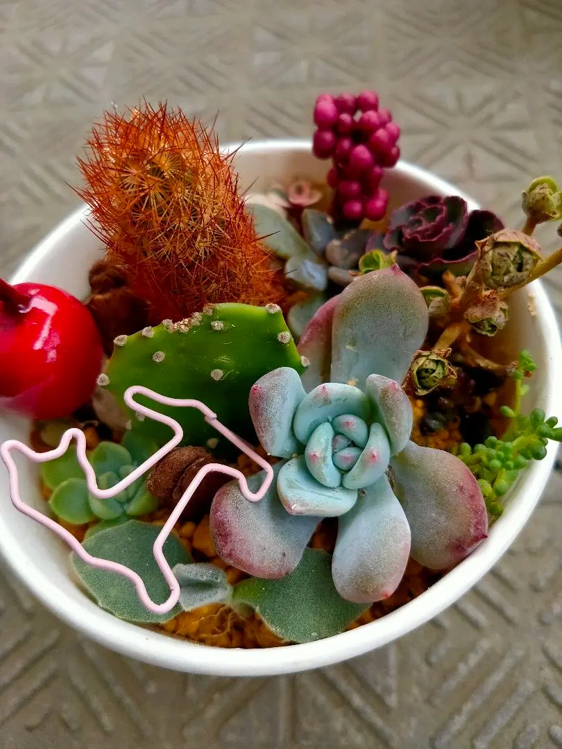 2025年最新】ハビタットスタイルの人気アイテム - メルカリ