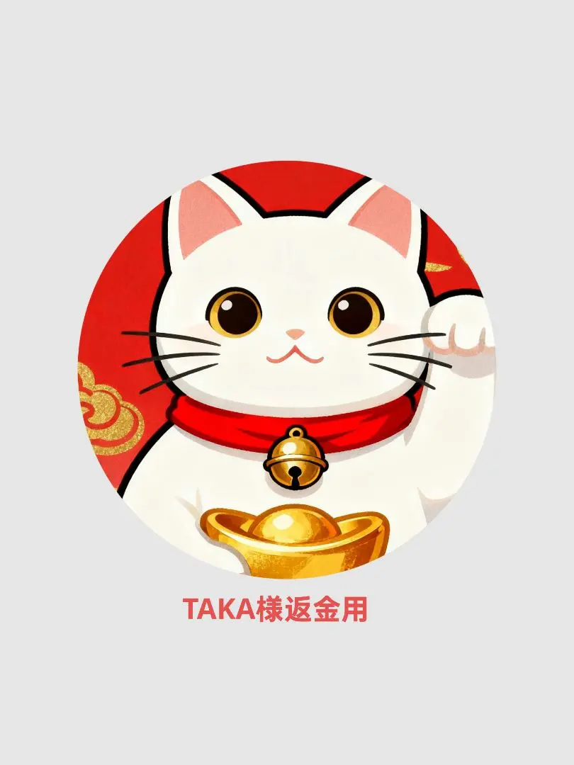 Thumbnail of Refund for Mr. TAKA