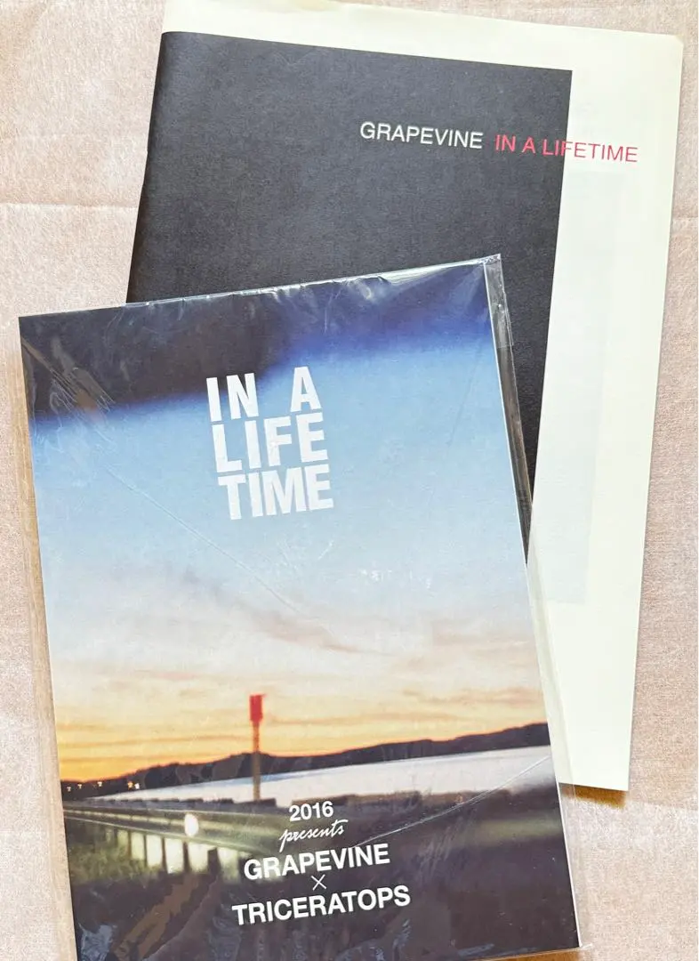 GRAPEVINE / IN A LIFETIMEBD+CD