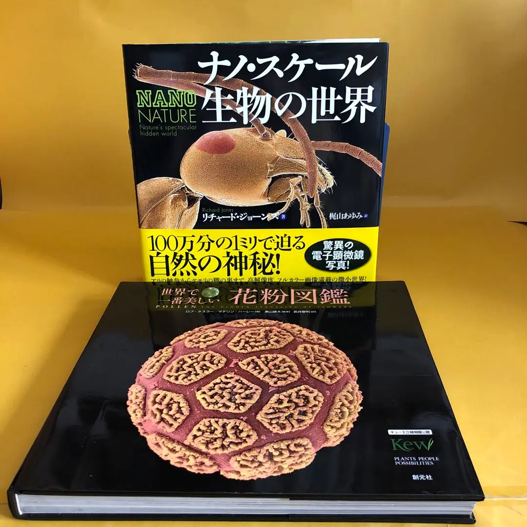 【中古】世界で一番美しい種子図鑑 : キュー王立植物園公認 ロブ・ケスラー 中古】世界で一番美しい種子図鑑 : キュー王立植物園公認 ロブ