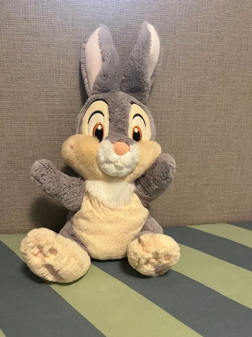 Thumbnail of A rabbit plushie purchased at Disney