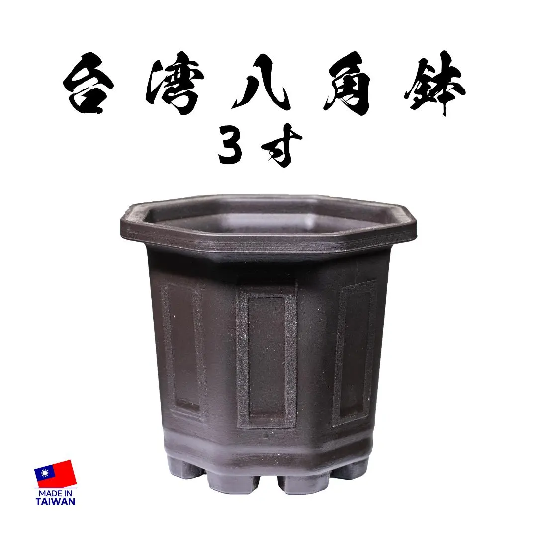 新品　台湾八角鉢　5寸　　Agave鉢　50個 八角鉢 5寸 検/八角 プラ 鉢 アガベ鉢 台湾鉢 チタノタ
