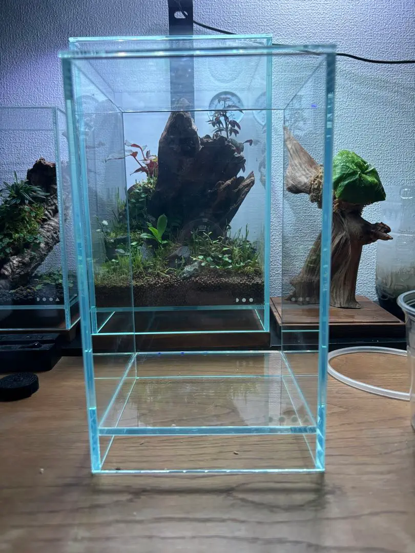 【お買得4点】DOOA ネオグラス テラ/エア ＆育つライト3セット付き！！ NEO GLASS AIR(300x180x120mm) 新製品のDOOA マグネットライト