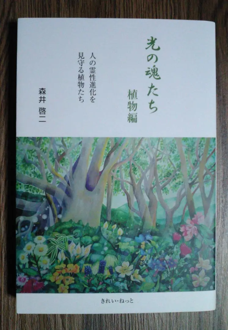 2025年最新】光の魂たち_植物編の人気アイテム - メルカリ