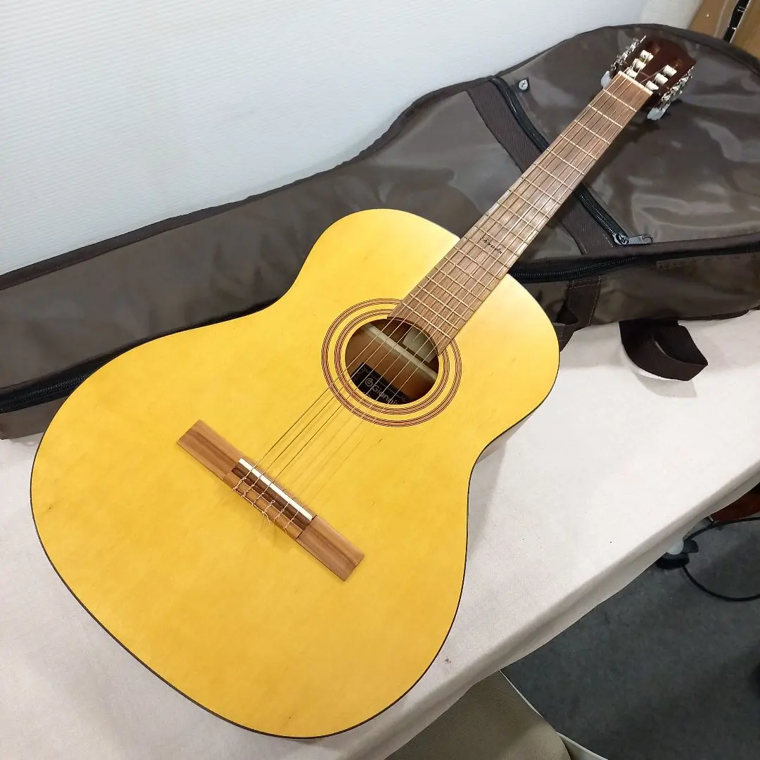 2025年最新】giannini ギターの人気アイテム - メルカリ