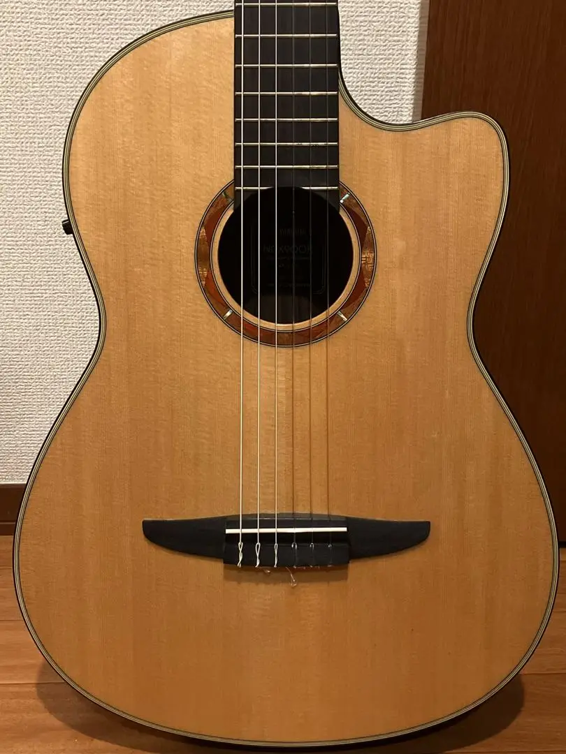 PLAYTEC EC800 エレガットギター ソリッドボディー