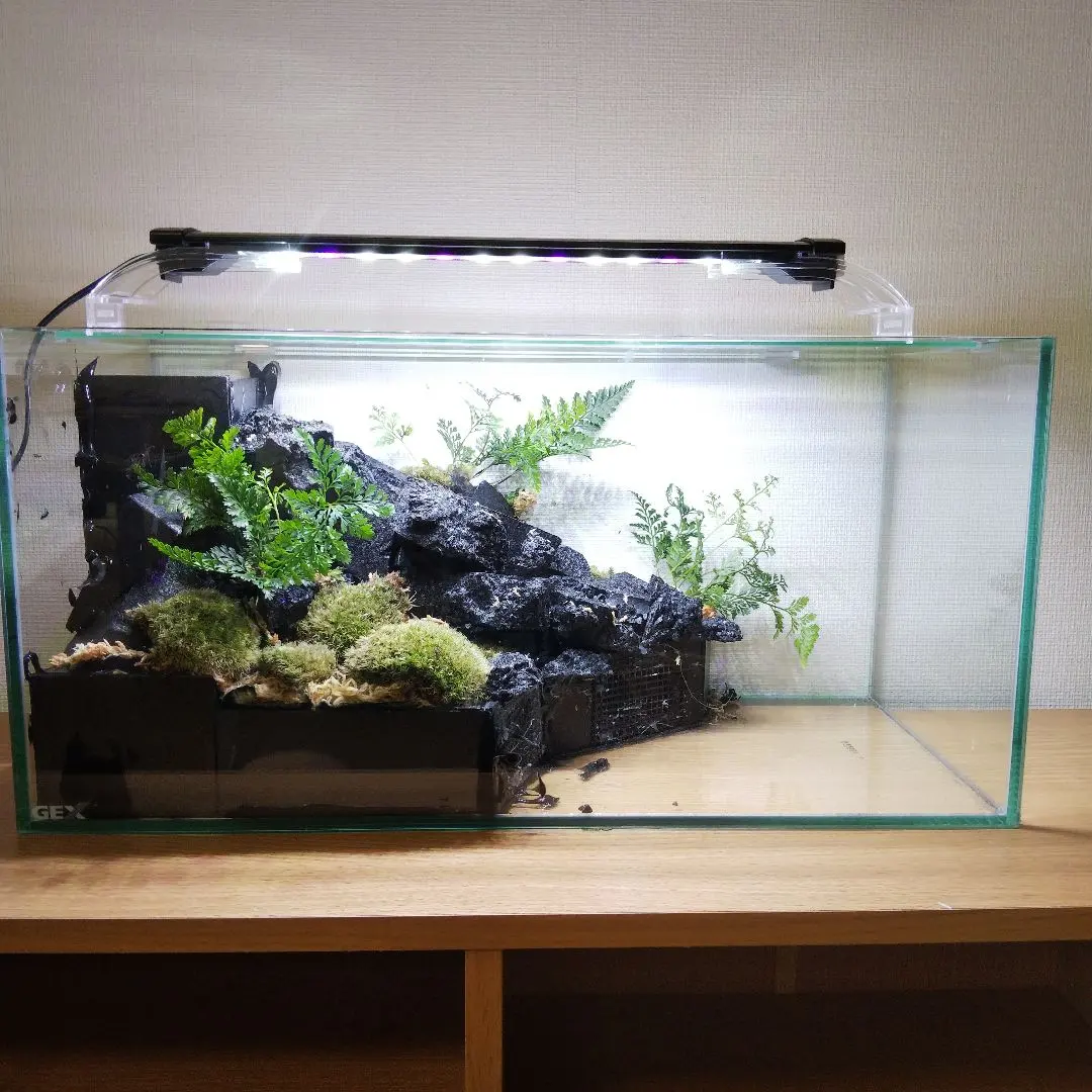 ️⭕️本日限定sale️⭕️アクアテラリウム 完成品 滝 ガラス水槽 ️⭕️本日限定sale️⭕️アクアテラリウム 完成品 滝 ガラス水槽