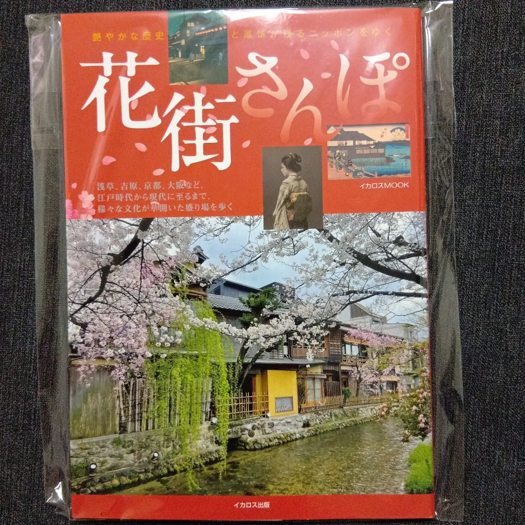 Thumbnail of Stroll through the geisha district