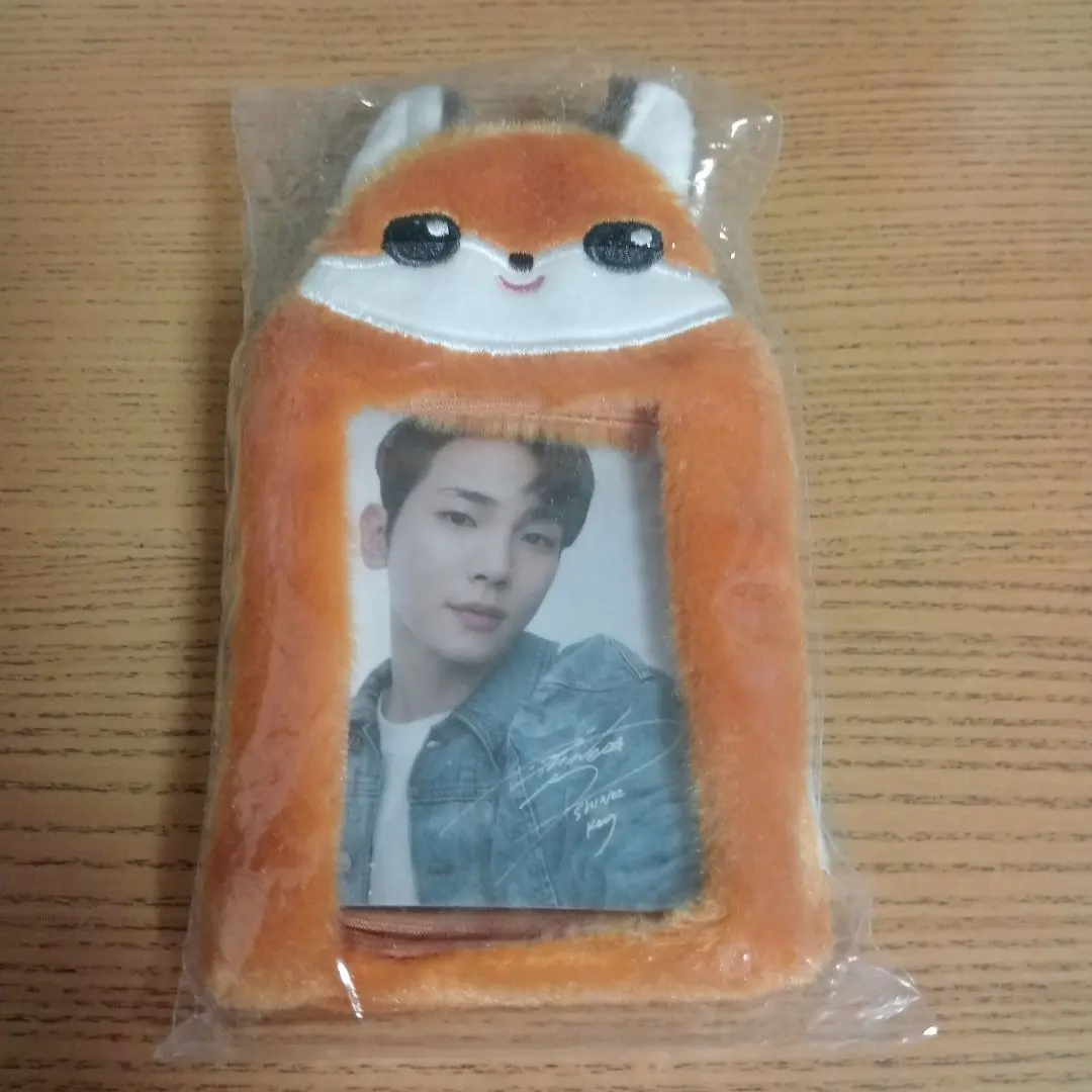 SHINee トレカ付ふわふわカードキーホルダー テミン　10点セット SHINee ANIMAL COORDY トレカ付ふわふわカードキーホルダー