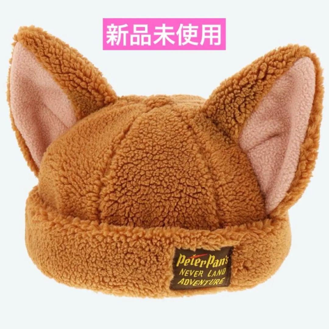 Thumbnail of Fantasy Springs Peter Pan's Lost Kids