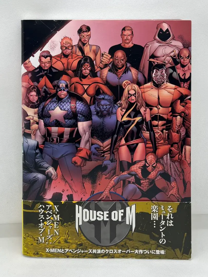 ア*キ様 ハウス・オブ・M ハルク 2025年最新】x-men/アベンジャーズ:ハウス・オブ・mの人気
