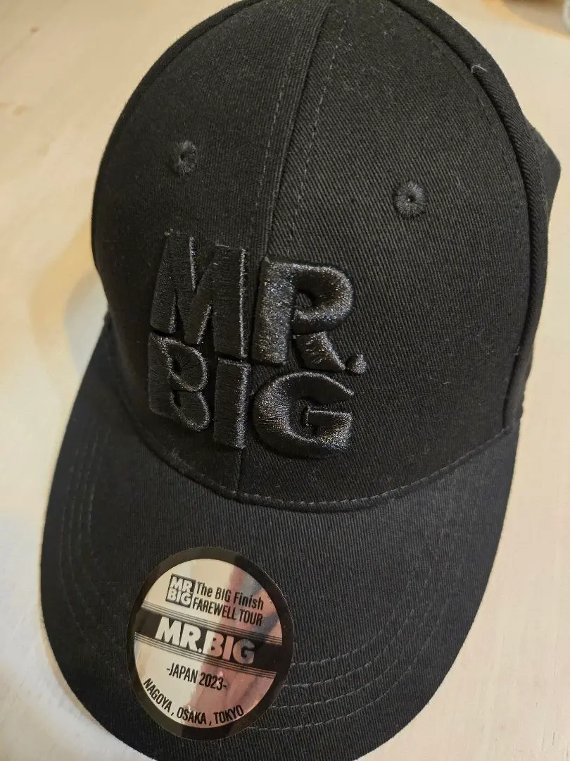 2025年最新】mr.big キャップの人気アイテム - メルカリ