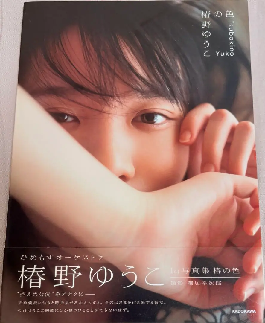 【最安値】【希少品】椿野ゆうこ 1st写真集 椿の色　写真集　初版 Amazon.co.jp: 椿野ゆうこ 1st写真集 椿の色 初版 帯付き : おもちゃ