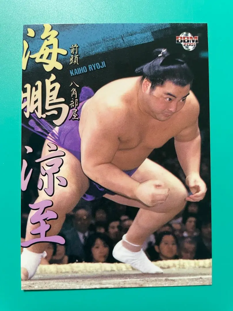 BBM 2002 大相撲カード 武蔵丸　海鵬　カメラは見た！気迫の一番+4枚 BBM 2002 大相撲カード 武蔵丸 海鵬 カメラは見た！気迫の一番+4枚