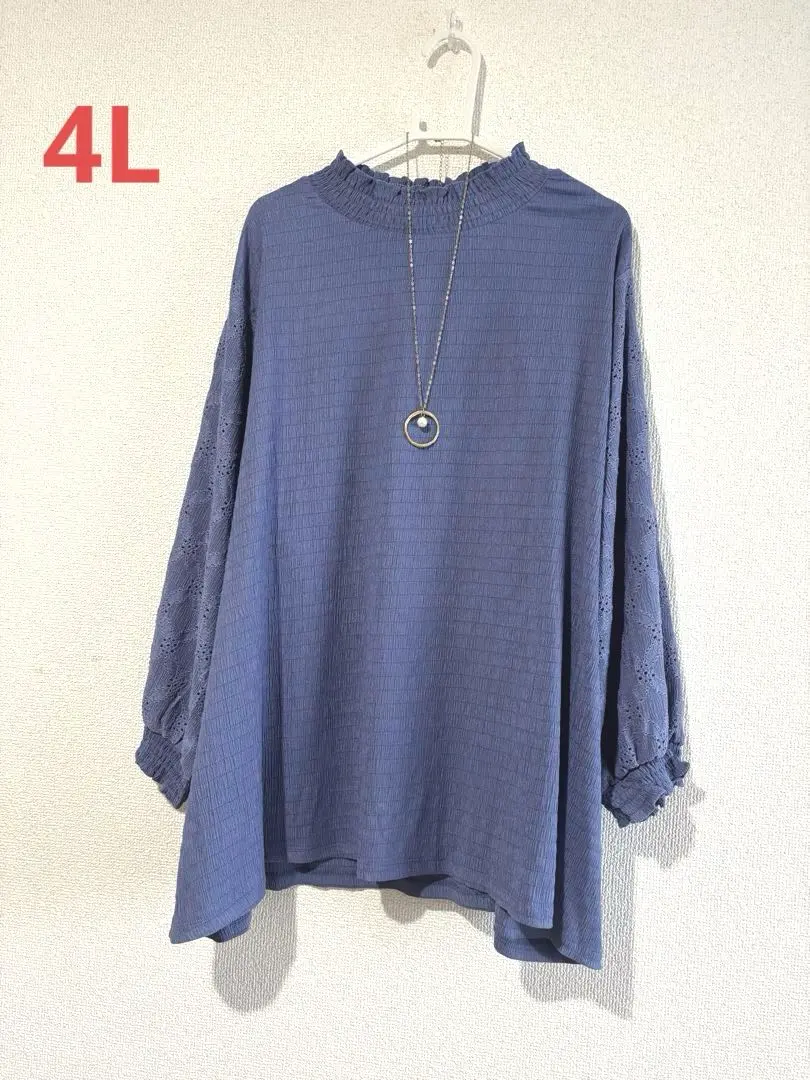 Thumbnail of New Plus Size Eyelet Embroidered Sleeve Cut and Sew Top 4L