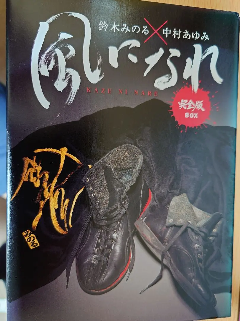 2025年最新】中村あゆみ 風になれの人気アイテム - メルカリ