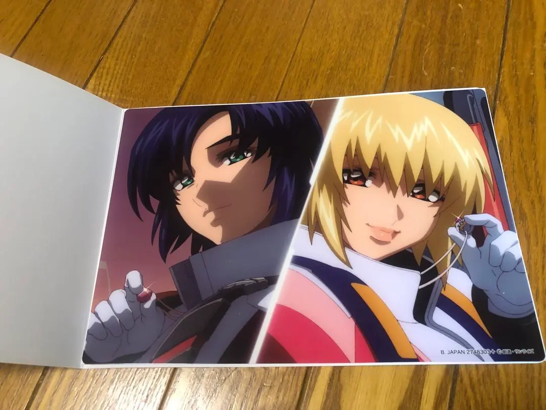 ガンダムseed アスカガ  ファイル&ステッカー ガンダムseed アスラン カガリ ファイル&ステッカー - メルカリ