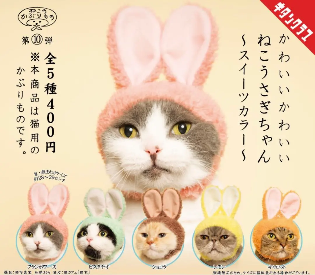 Thumbnail of Kitankurabu: Cat Headwear - Rabbit Sweets Colors - 5 Types