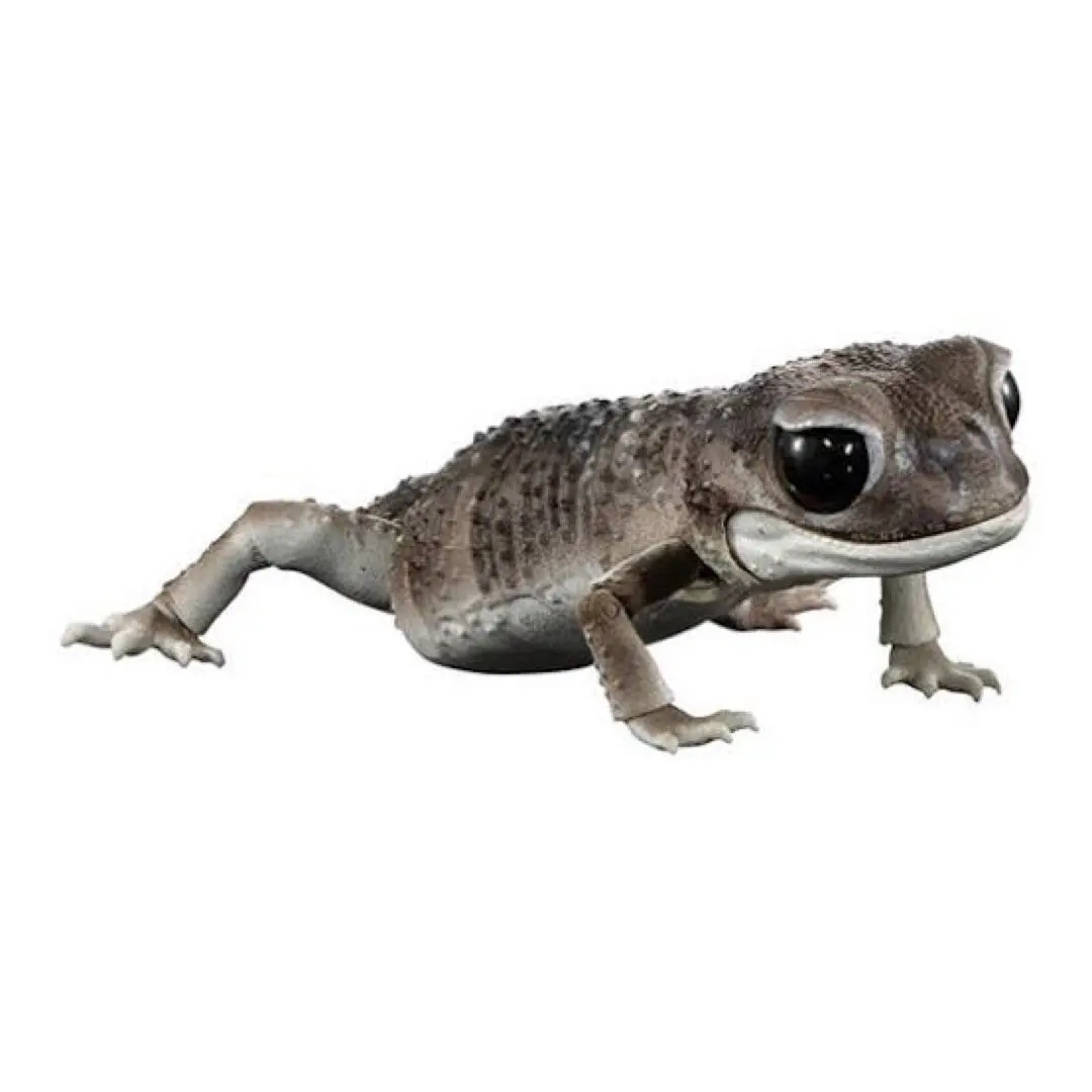 Thumbnail of Creature Encyclopedia Advance