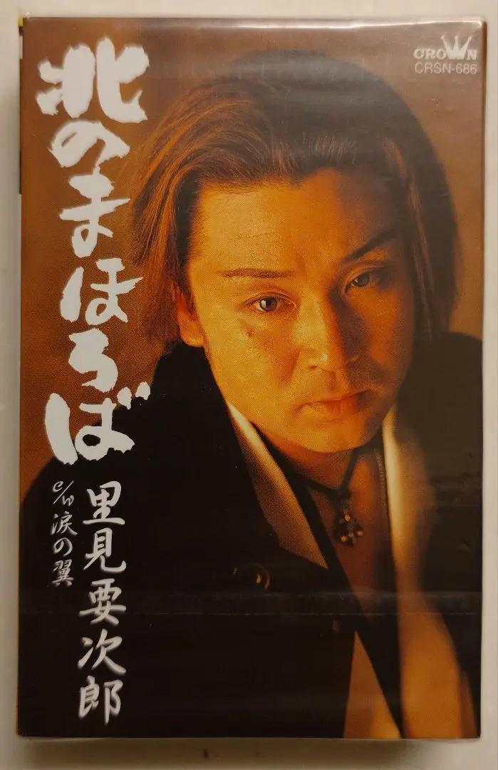 DVD 大衆演劇 里見要次郎 2016年公演DVD ２枚組　小泉たつみ 2025年最新】里見要次郎の人気アイテム - メルカリ