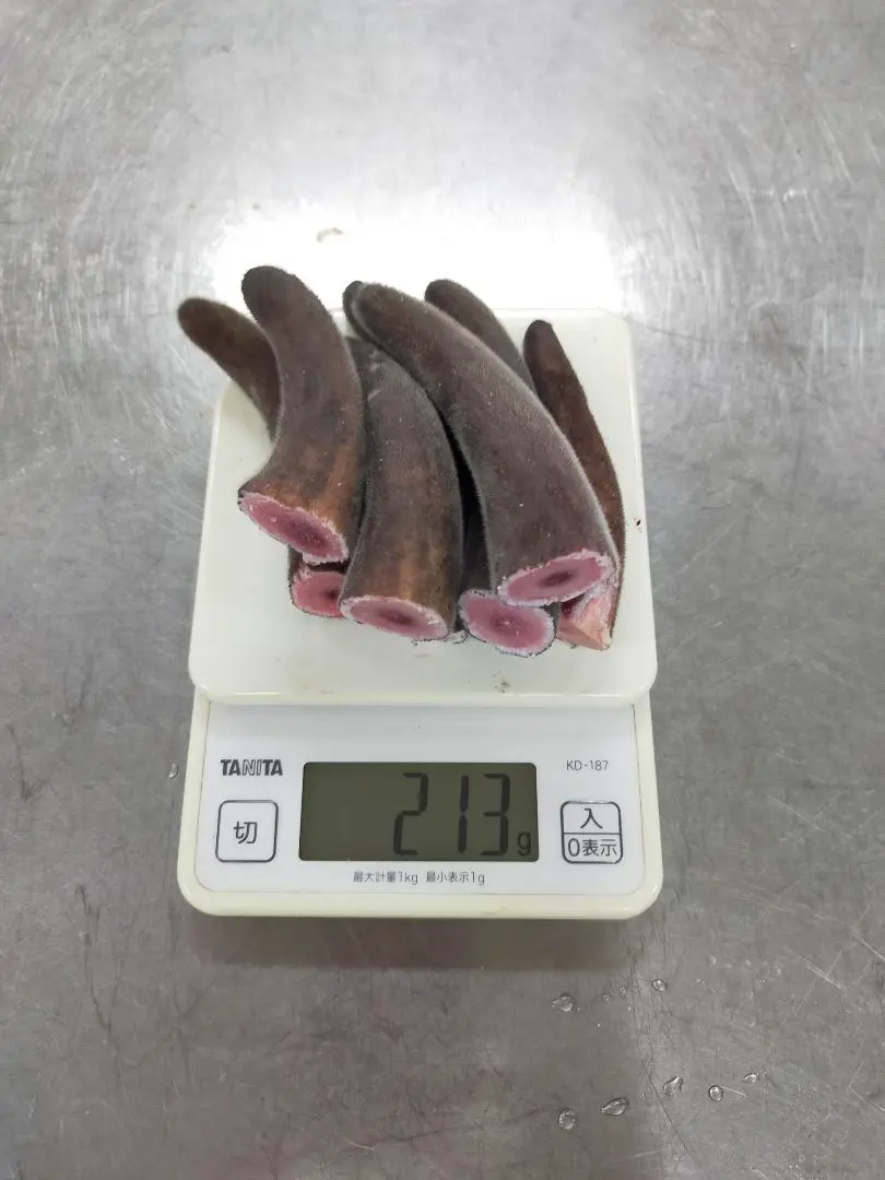 蝦夷鹿　鹿茸　袋角　471g 蝦夷鹿 袋角 鹿茸 180g - メルカリ