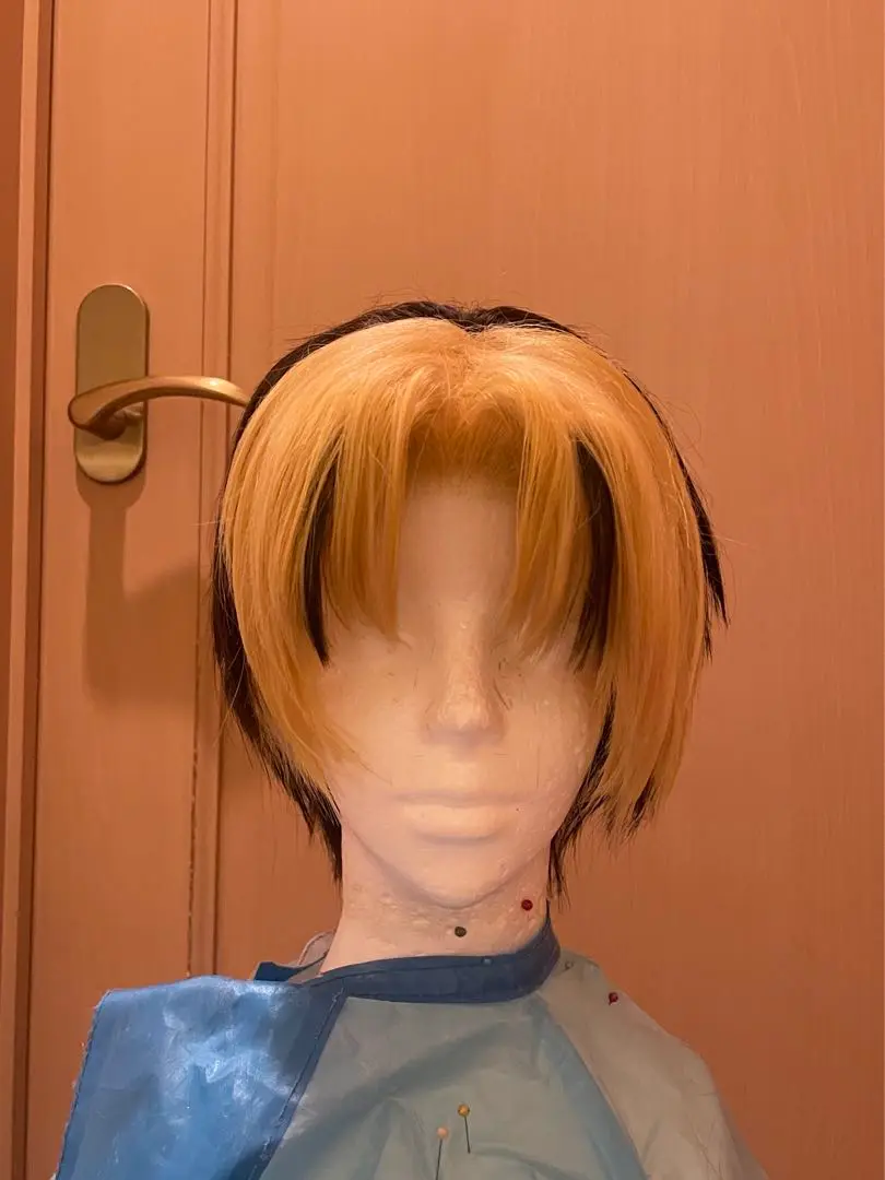 ヒカルの碁　塔矢アキラ　海王中制服　コスプレ衣装　ウィッグ付き ヒカルの碁 塔矢アキラ(制服(海王中)) - コスプレイヤーズアーカイブ