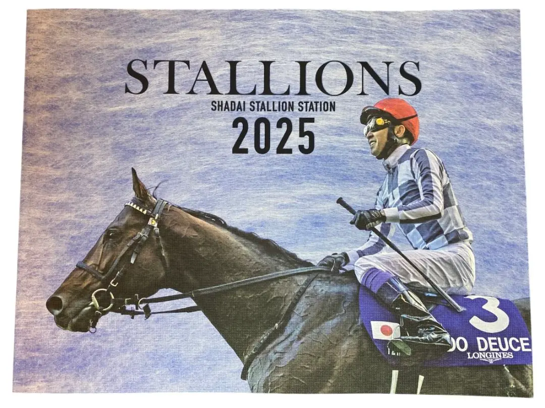 2025年最新】社台スタリオン 2025の人気アイテム - メルカリ