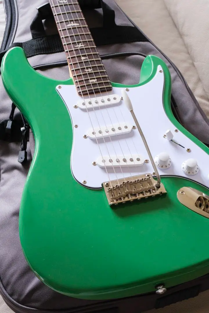 2025年最新】prs se custom 22の人気アイテム - メルカリ