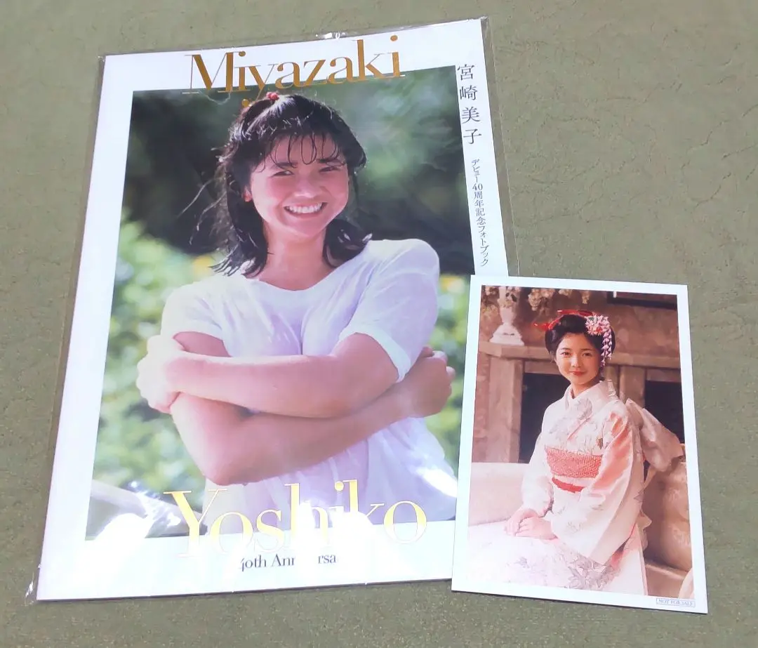 宮崎美子 20周年記念メモリアルフィギュア Amazon.co.jp: 宮崎美子 メモリアルフィギュア お宝デビュー 20