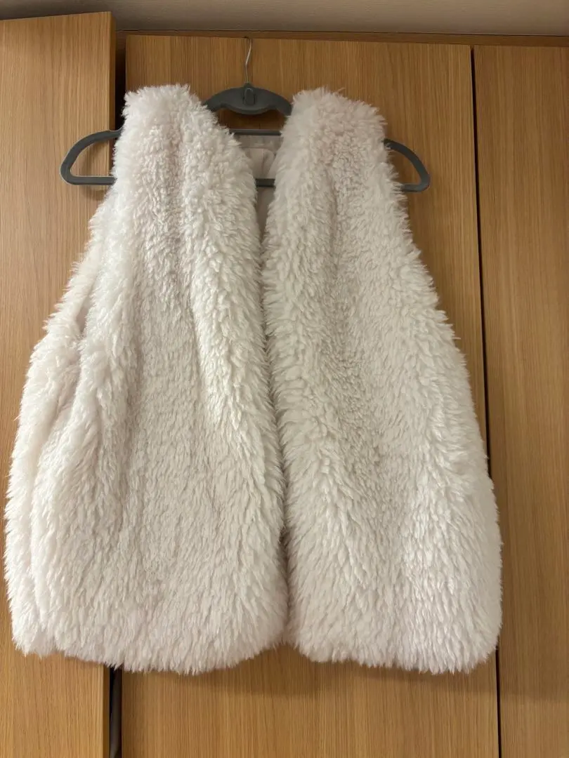 Thumbnail of Fur vest