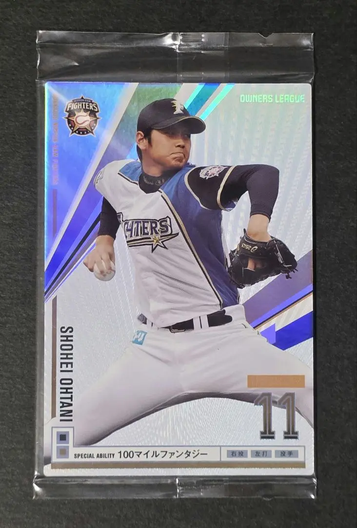 大谷翔平 オーナーズリーグカード インフィニティ 投手版 2025年最新】オーナーズリーグ 大谷翔平 インフィニティの人気