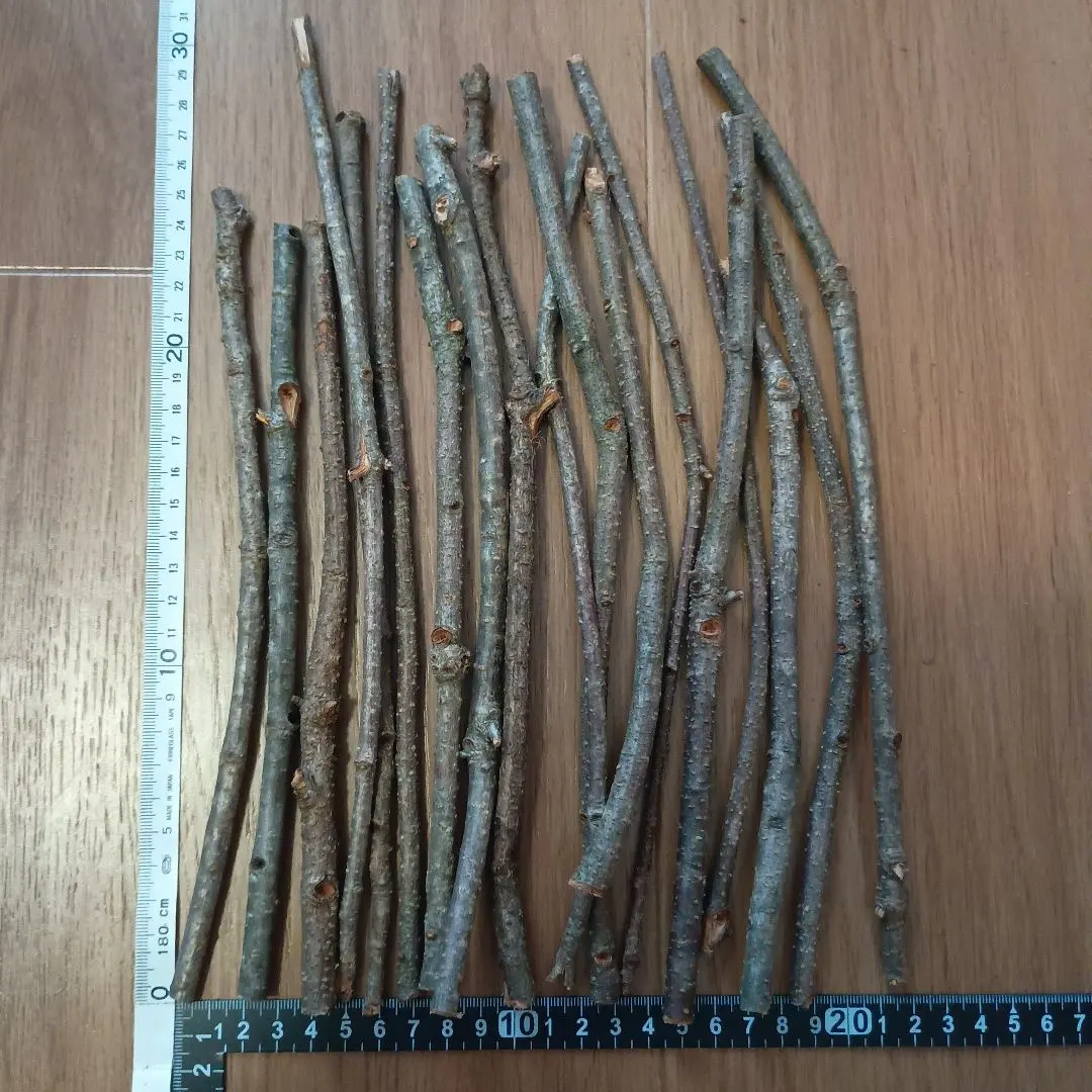 Thumbnail of Oak tree branches, 18 pieces, perches, climbing wood, stag beetles, rhinoceros beetles, birds, crafts, C11