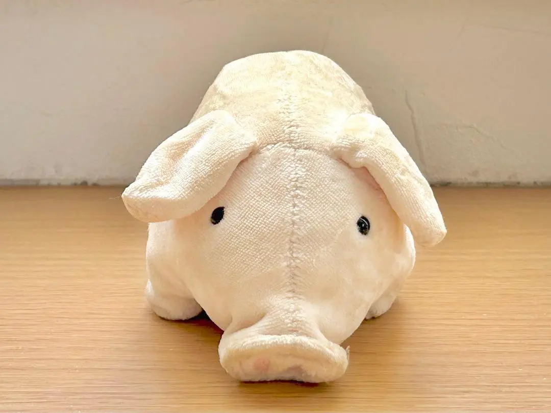 2025年最新】サンアロー ぬいぐるみ ぶたの人気アイテム - メルカリ