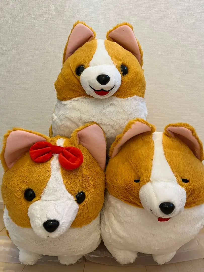 いち！にの！コーギー【新作】ただいま  STセット いち！にの！コーギー【新作】ただいま STセット - メルカリ