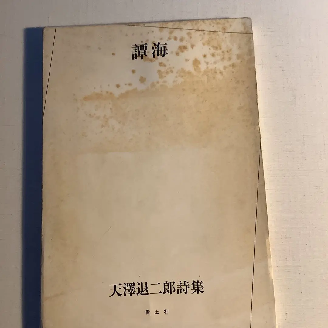 ◇7D　中西夏之　Painting 1980-85　1985　図録　古書 ◇7D 中西夏之 Painting 1980-85 1985 図録 古書 - メルカリ
