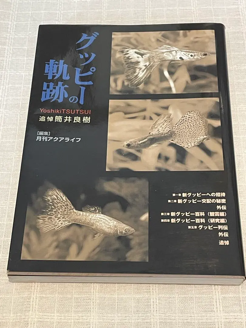 2025年最新】筒井良樹の人気アイテム - メルカリ